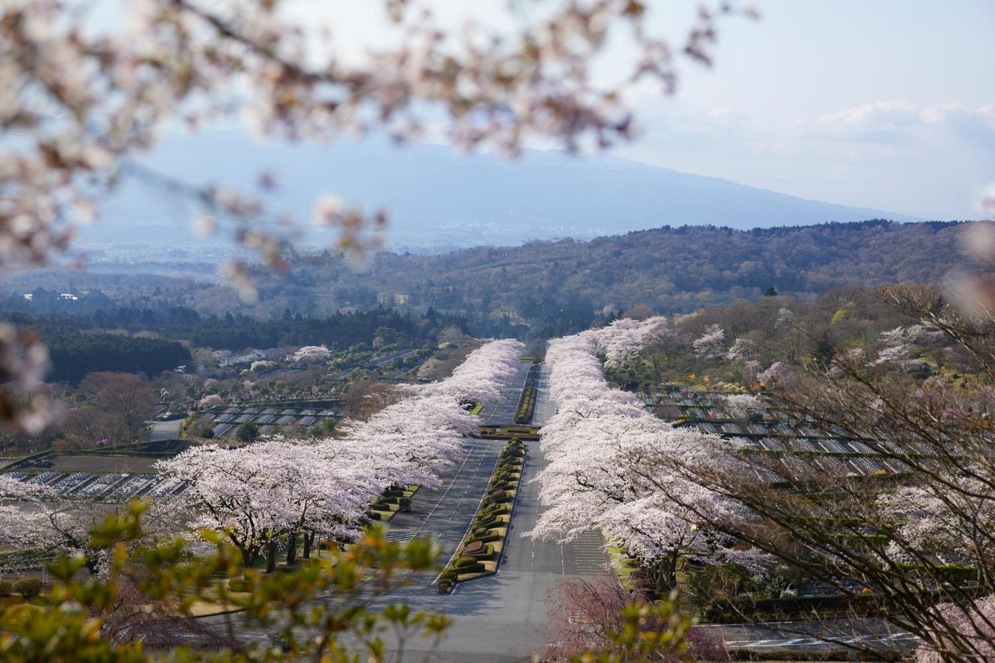 Fuji Speedway Hotel - The Unbound Collection By Hyatt Oyama  Exterior photo